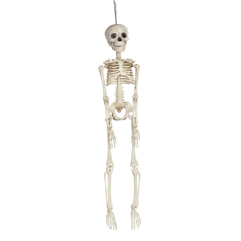 Esqueleto para pendurar