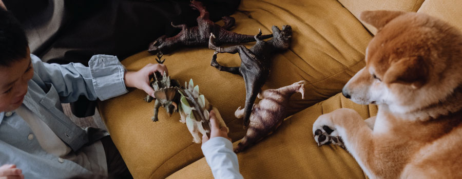Obsesión por los dinosaurios